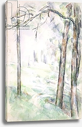Постер Сезанн Поль (Paul Cezanne) PD.6-1966r The Woods, Aix-en-Provence, c.1890