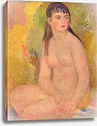 Постер Ренуар Пьер (Pierre-Auguste Renoir) Обнаженная 4