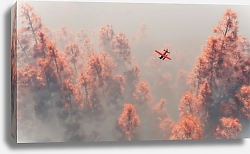 Постер Одномоторный самолет над осенним лесов в тумане