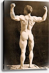 Постер Eugen Sandow, in classical ancient Greco-Roman pose, c.1893 3