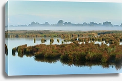 Постер Голландия. Туман  над озером