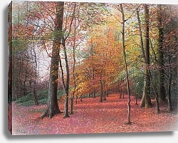 Постер Старкей Марго (совр) Autumn in the Woods, 1999 1