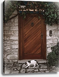 Постер Кошка у двери, Ровинь, Хорватия