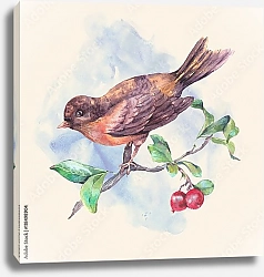 Постер Акварельная серая птичка на ветке с красными ягодами