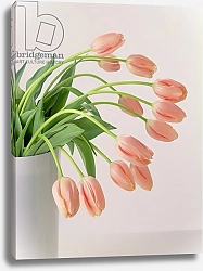 Постер Холландс Норман (совр) Pink Tulips, 1999