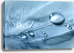 Постер Перо с каплями воды