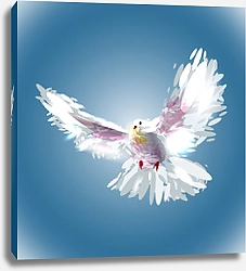 Постер Белый голубь