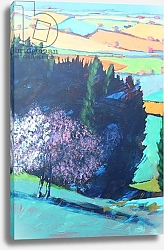 Постер Повис Поль (совр) Teme Valley blossom close up 1