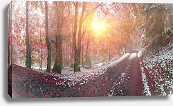 Постер Первый снег в осеннем лесу с заходящим солнцем №1