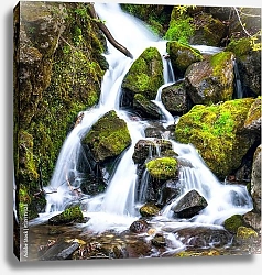 Постер Водопад в лесу 4