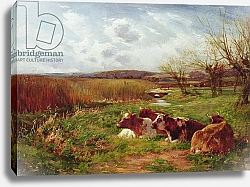 Постер Адамс Чарльз In the Meadow