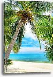 Постер Зеленая пальма на белом песчаном пляже