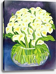 Постер Шава Лайла (совр) Calla Lilies, 1989