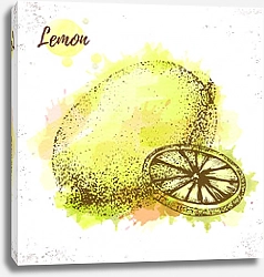 Постер Акварельный лимонный эскиз