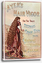 Постер Неизвестен Ayer's hair vigor for the toilet. Restores gray hair to its natural vitality and color