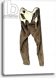 Постер Фислеуйэт Майлз (совр) Brown Corduroy Trousers 2003