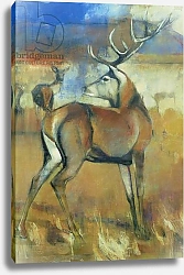 Постер Адлингтон Марк (совр) Red Stag, detail from Gathering Deer, 1998