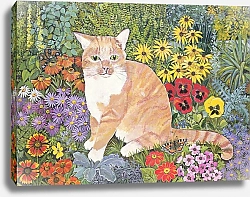 Постер Джонс Хилари (совр) The Carpenter's Cat