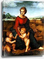 Постер Рафаэль (Raphael Santi) Мадонна в зелени. Мария с младенцем и          Иоанном Крестителем