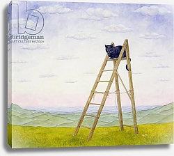 Постер Дитц (совр) The Ladder Cat