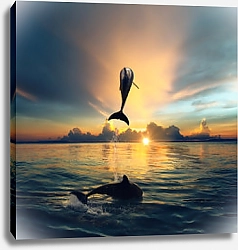 Постер Два дельфина на фоне заката