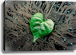 Постер Зеленый листок на монтажной плате компьютера