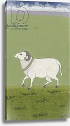 Постер Школа: Индийская 18в Ram with golden collar, 1700-99