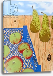 Постер Хужа Файзал (совр) Blue basket of Apples, 2008,