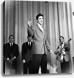 Постер Presley, Elvis 9