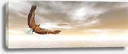 Постер Летящий орел