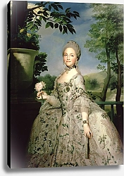 Постер Менгс Антон Portrait of Marie-Louise of Bourbon