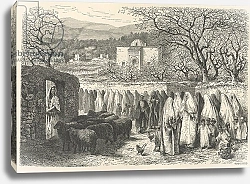 Постер Риоу Эдуард Marabout and Procession: Tlemcen, engraved by Henri Theophile Hildibrand