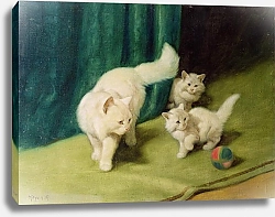 Постер Хейер Артур White Persian Cat with Two Kittens