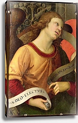 Постер Рафаэль (Raphael Santi) Angel, from the polyptych of St. Nicolas of Tolentino, 1501