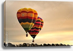 Постер Воздушные шары на фестивале воздухоплавателей