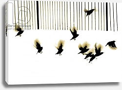 Постер Мосоп Мартин (совр) Starlings, 2003,