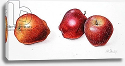 Постер Эден Маргарет (совр) Red Apples, 1996