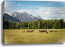 Постер Стадо лошадей на альпийском лугу