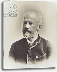 Постер Portrait of Pyotr Ilyich Tchaikovsky 3