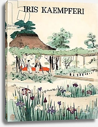 Постер Школа: Японская 19в. Iris Kaempferi - Front Cover, 1890