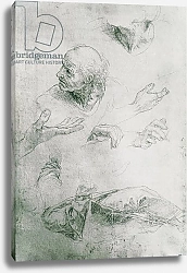 Постер Рафаэль (Raphael Santi) Studies for the Figure of Bramante