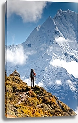Постер Хайкинг в Гималаях