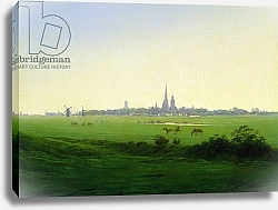 Постер Фридрих Каспар (Caspar David Friedrich) Meadows near Greifswald