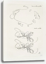 Постер Бракемон Феликс Plateau sucrier ovale ; Sucrier ovale.