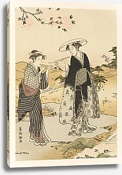 Постер Таджима Шиничи Masterpieces selected from the Ukiyoyé School, Pl.12