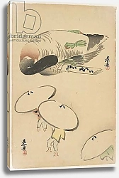 Постер Дзэсин Сибата Pheasant/Three men with umbrellas