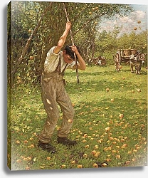 Постер Танге Ла Генри Shaking Down Cider Apples