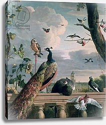 Постер Хондекутер Мелхиор Palace of Amsterdam with Exotic Birds