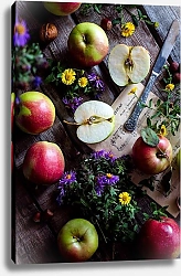 Постер Садовые яблоки, цветы и ноты