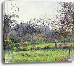 Постер Писсарро Камиль (Camille Pissarro) Morning Sun, Autumn, Eragny, 1897